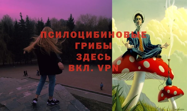 PSILOCYBIN Беломорск