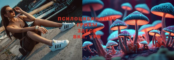 PSILOCYBIN Беломорск